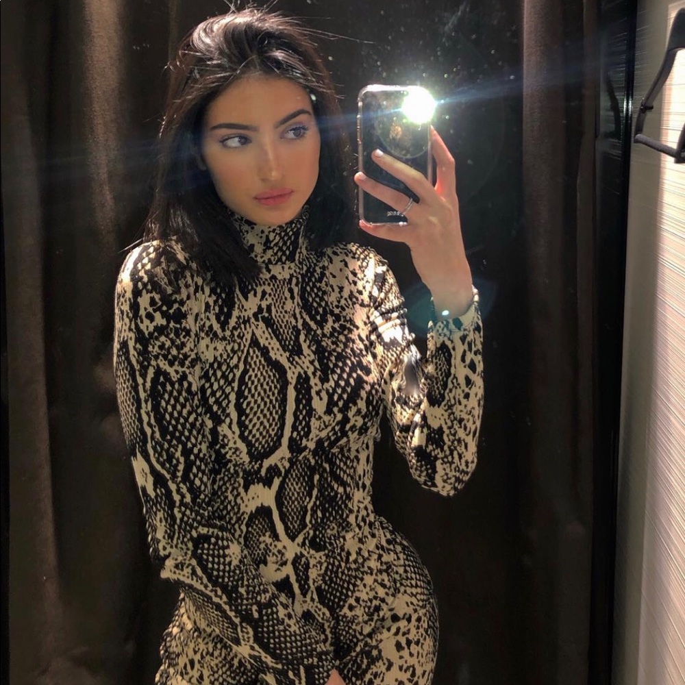 Zara Midi Snake Print Knit Dress